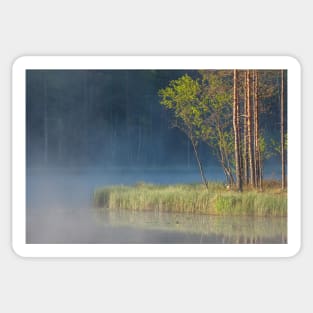 Forest reflecting to small lake at morning Sticker